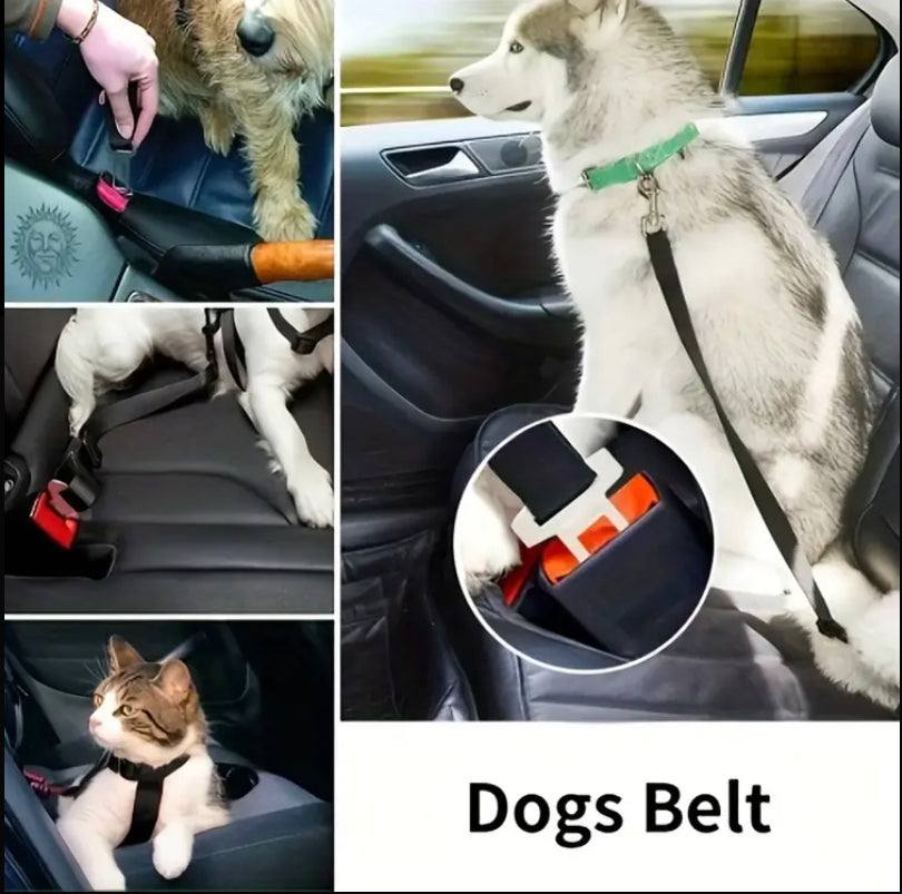 Adjustable Car Safety Clip