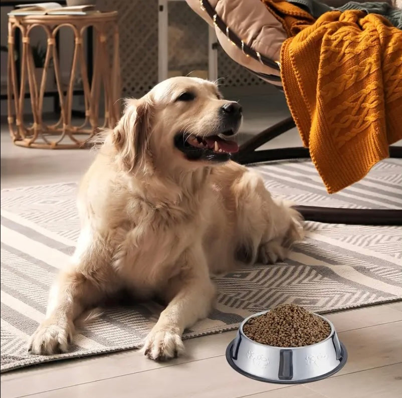 Pet Feeding Bowl