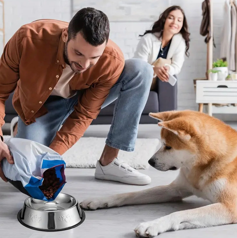 Pet Feeding Bowl