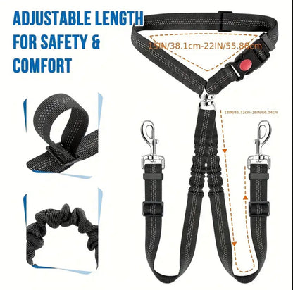 Double dog lead and combined seat belt