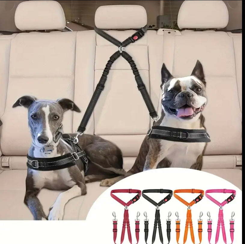 Double dog lead and combined seat belt