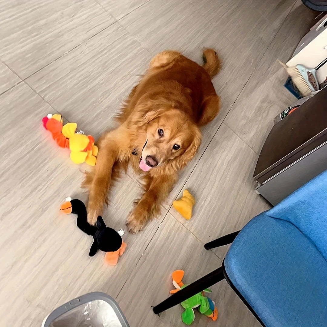 Dog Chew Toy