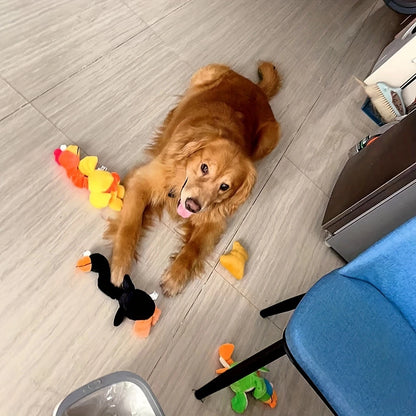 Dog Chew Toy