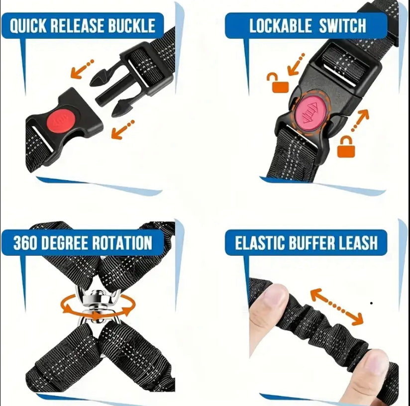 Double dog lead and combined seat belt