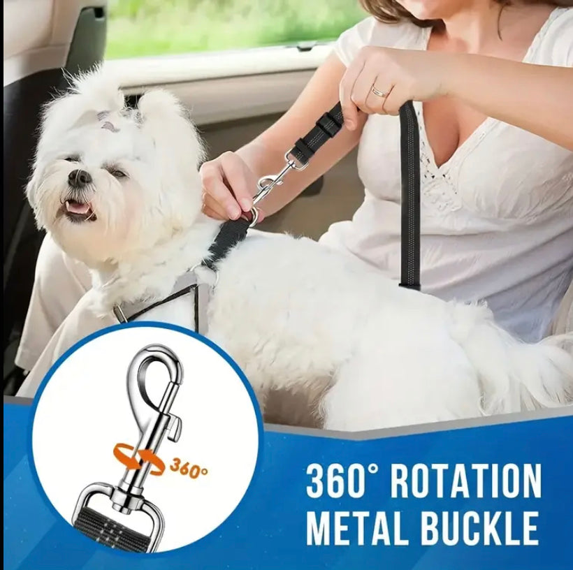 Double dog lead and combined seat belt