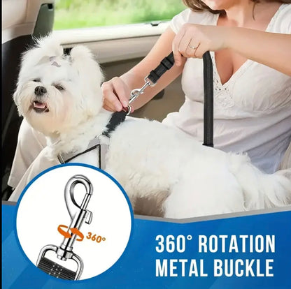 Double dog lead and combined seat belt