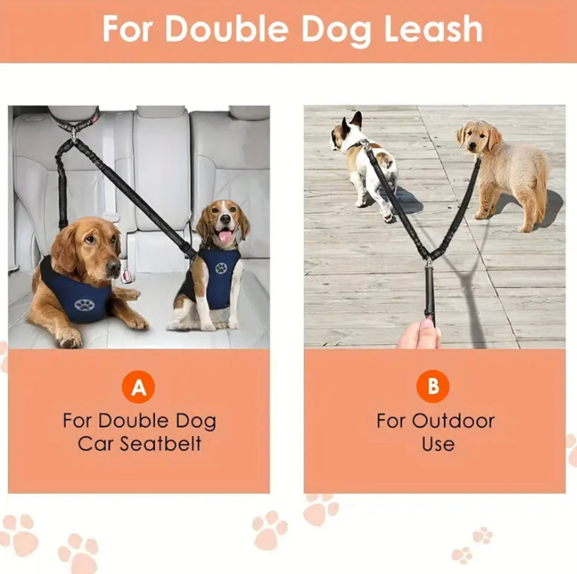 Double dog lead and combined seat belt