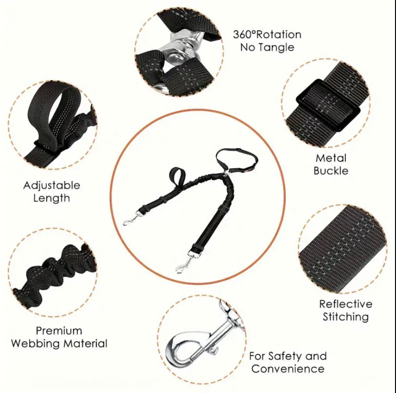Double dog lead and combined seat belt