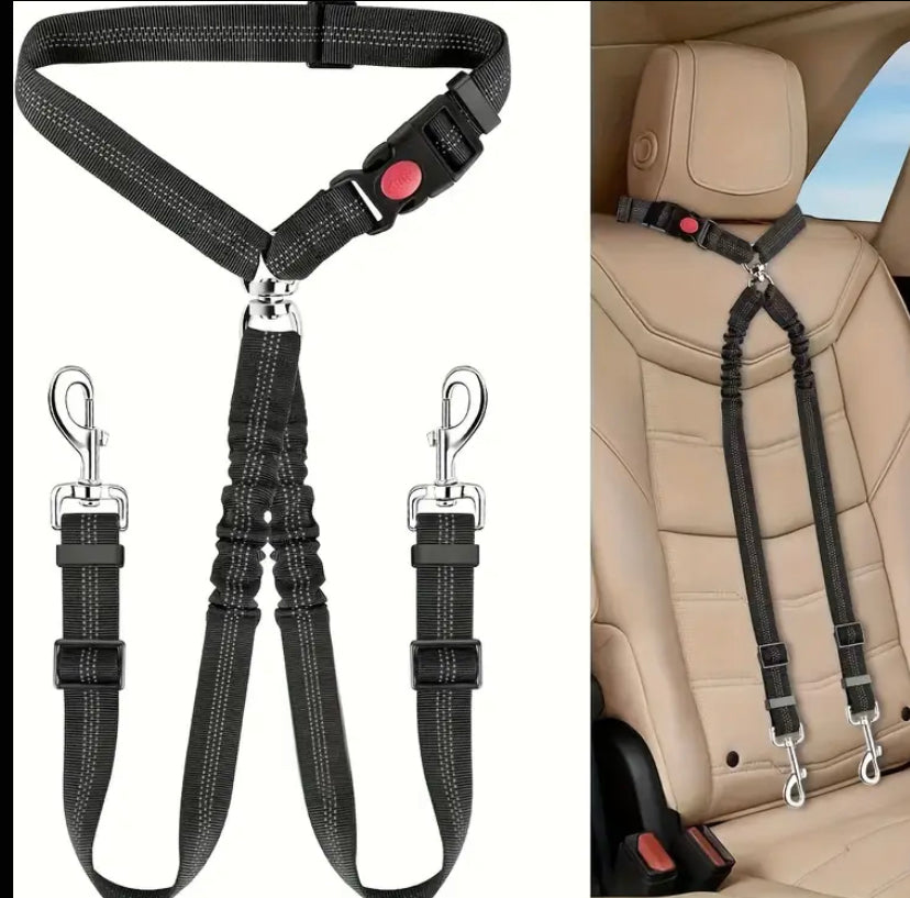 Double dog lead and combined seat belt