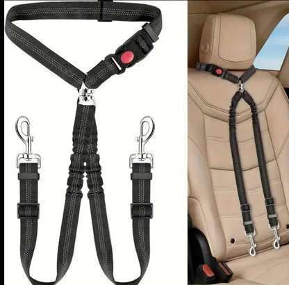 Double dog lead and combined seat belt