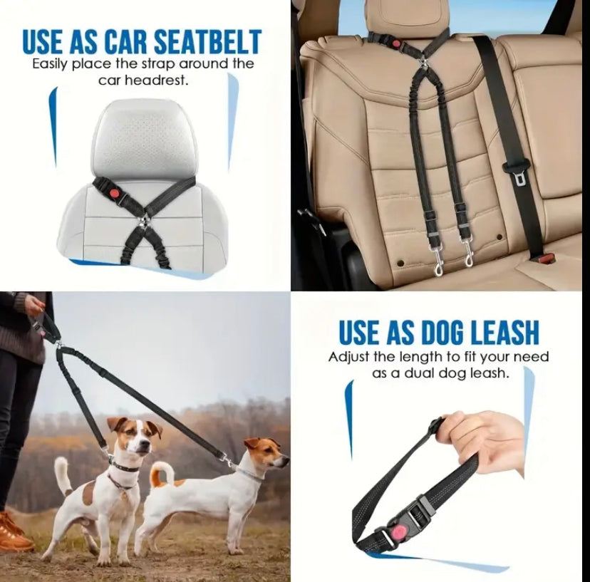 Double dog lead and combined seat belt