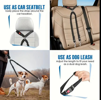 Double dog lead and combined seat belt