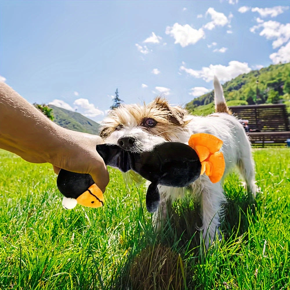 Dog Chew Toy