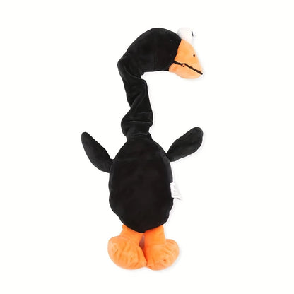 Dog Chew Toy